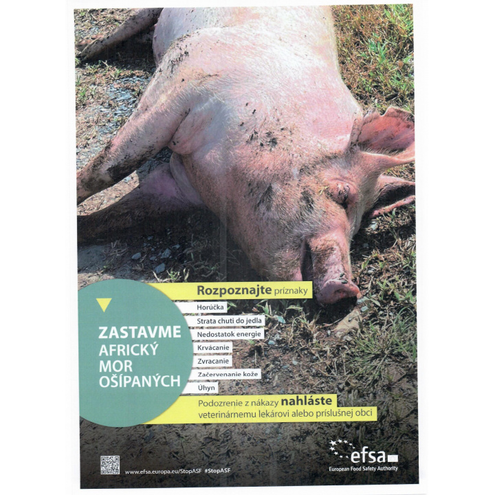 Menšia fotka pre článok Africký mor ošípaných